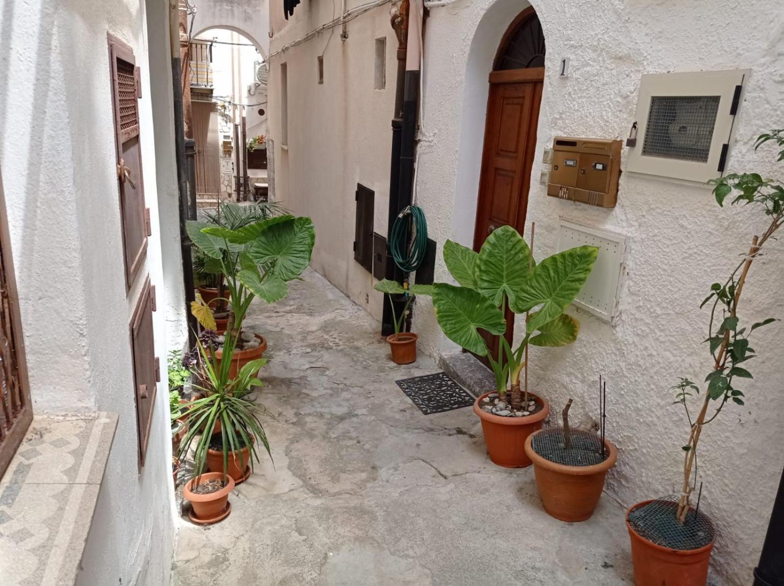 Cortile Maggiore Home Cefalù Εξωτερικό φωτογραφία